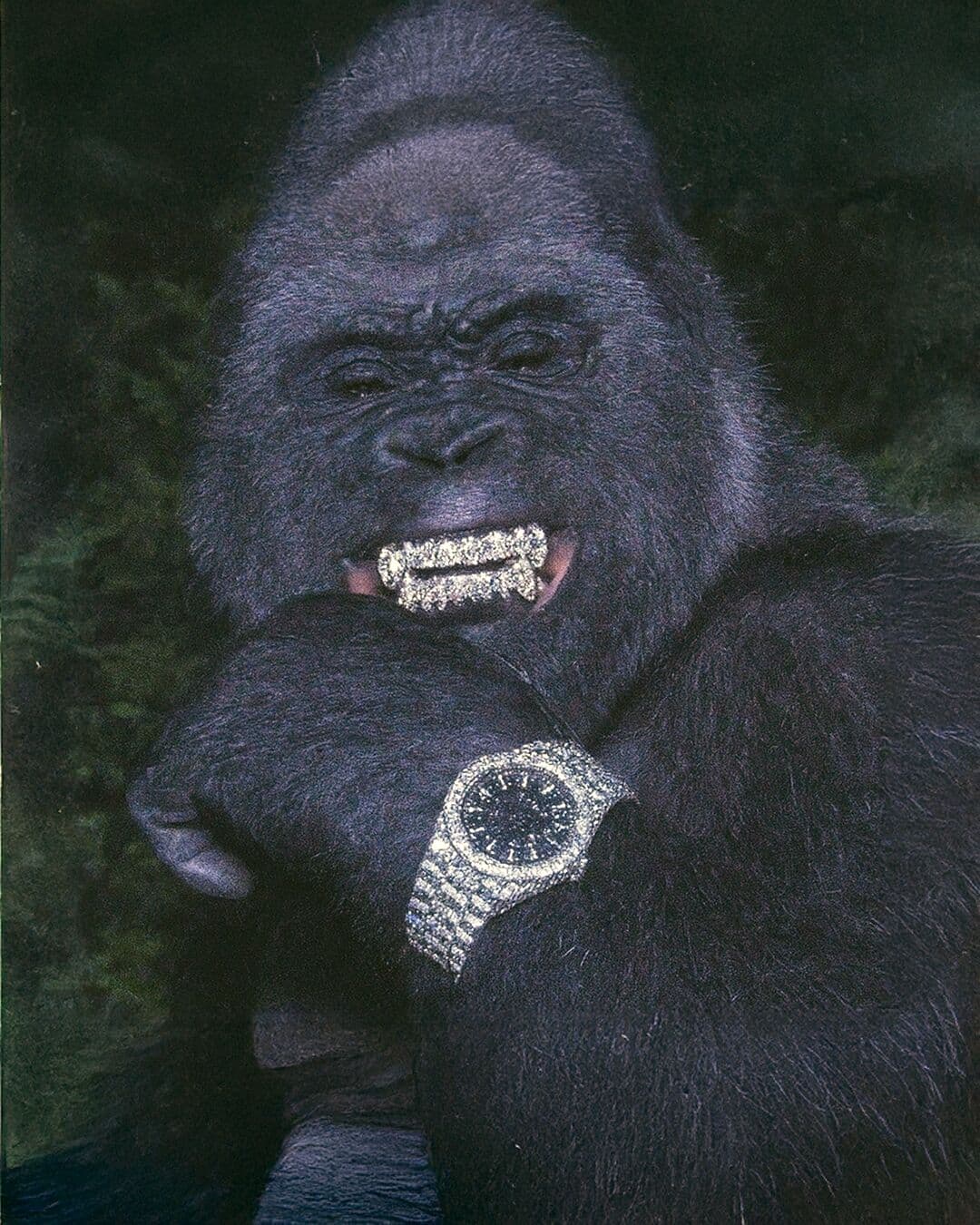 Grit Manager Gorilla
